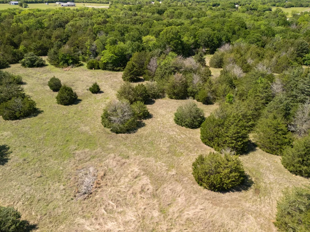 County Road 1134 Lone Oak, TX 75453