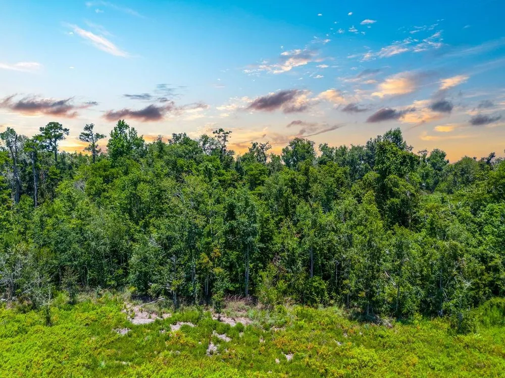 7679 NW 28TH STREET Jennings, FL 32053