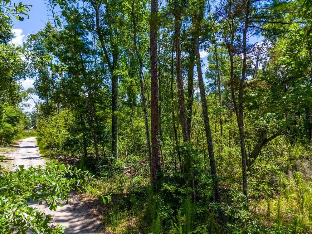 7679 NW 28TH STREET Jennings, FL 32053