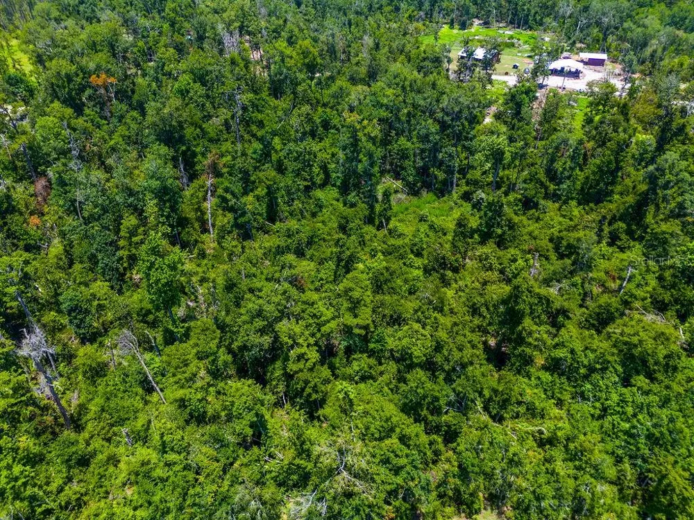 7679 NW 28TH STREET Jennings, FL 32053