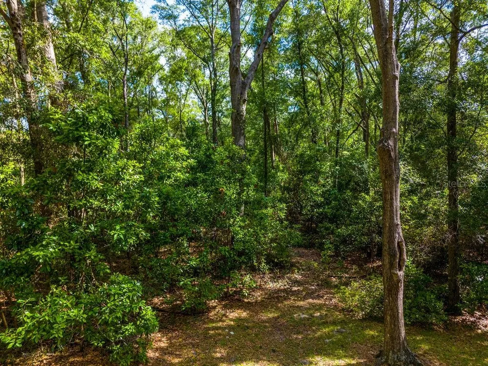 15713 NW 268TH TERRACE High Springs, FL 32643