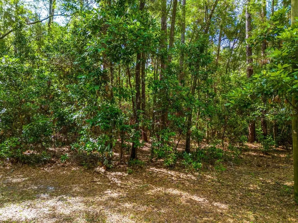 15713 NW 268TH TERRACE High Springs, FL 32643