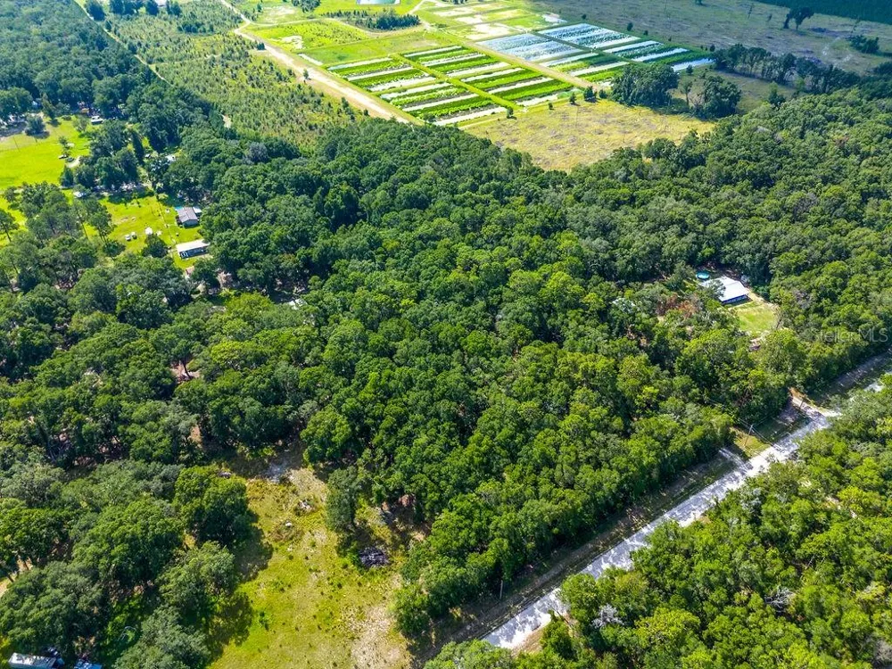 15713 NW 268TH TERRACE High Springs, FL 32643