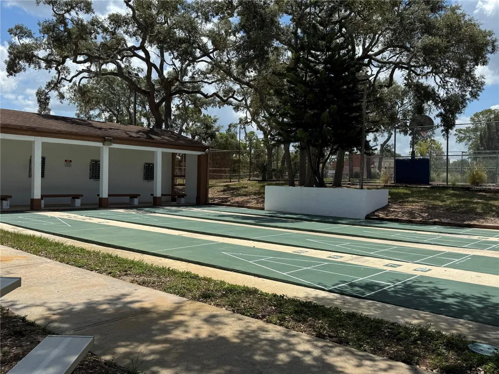 12411 PARTRIDGE HILL ROW Hudson, FL 34667