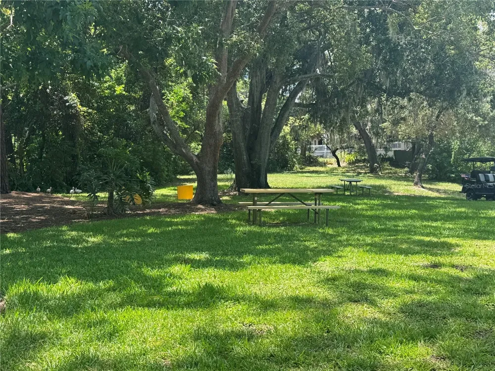 12411 PARTRIDGE HILL ROW Hudson, FL 34667