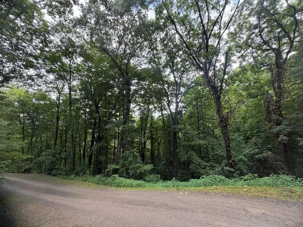 Mountainside drive Waynesville, NC 28786