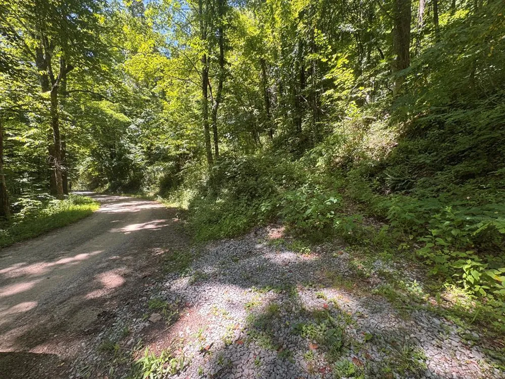 Mountainside drive Waynesville, NC 28786