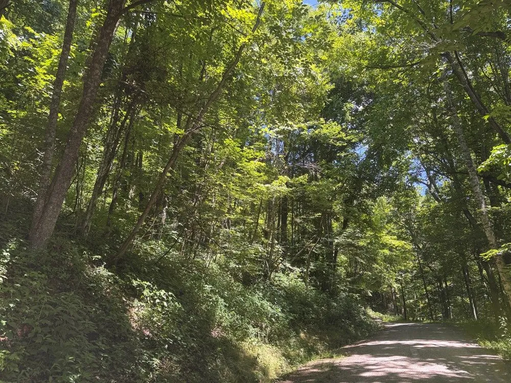 Mountainside drive Waynesville, NC 28786