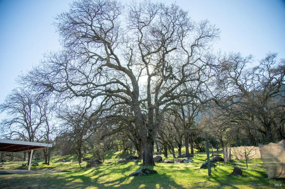 3576 Monticello Road Napa, CA 94558