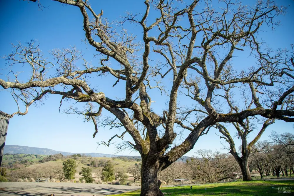 3576 Monticello Road Napa, CA 94558