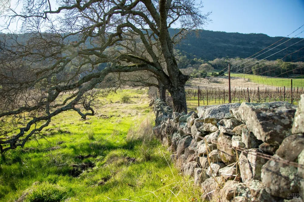 3576 Monticello Road Napa, CA 94558