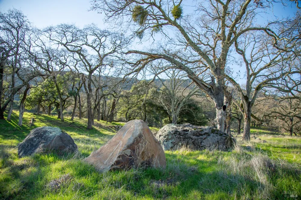 3576 Monticello Road Napa, CA 94558