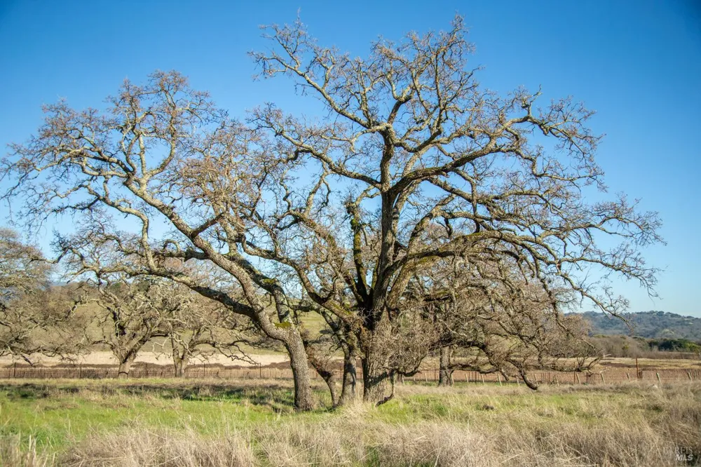 3576 Monticello Road Napa, CA 94558