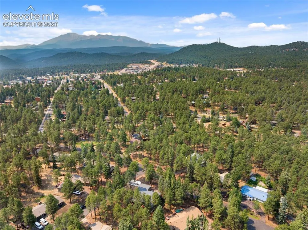 723 Pine Street Woodland Park, CO 80863