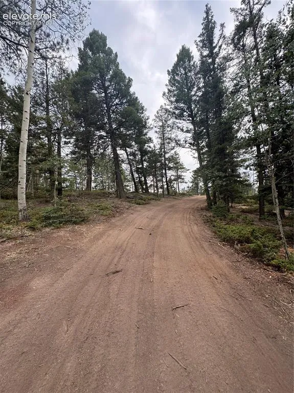 111 Elk Creek Drive Divide, CO 80814