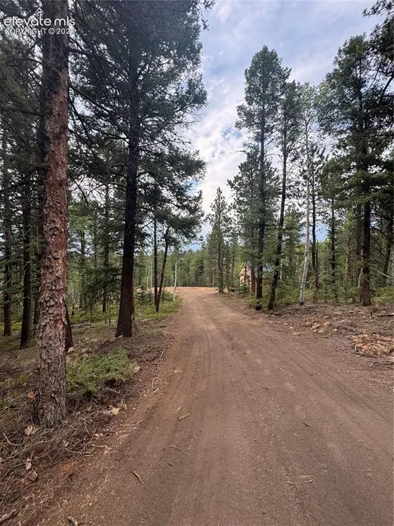 111 Elk Creek Drive Divide, CO 80814
