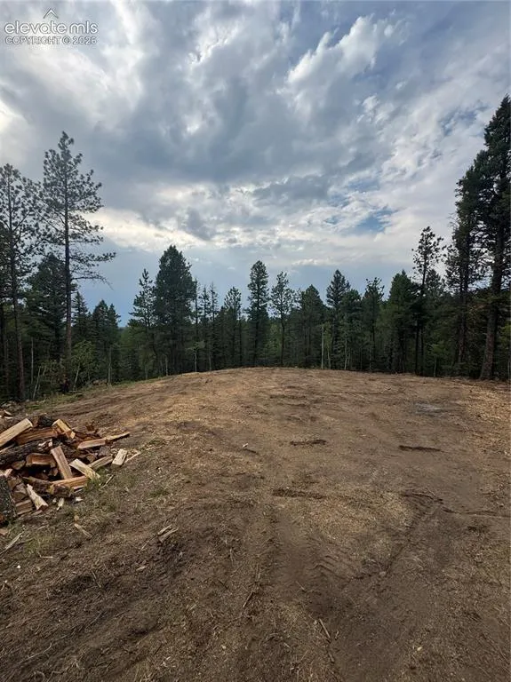 111 Elk Creek Drive Divide, CO 80814
