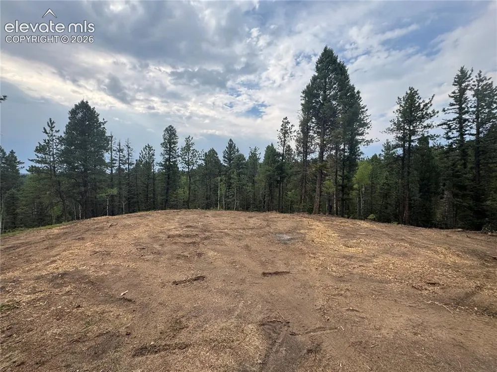 111 Elk Creek Drive Divide, CO 80814