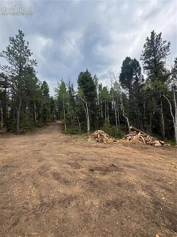 111 Elk Creek Drive Divide, CO 80814
