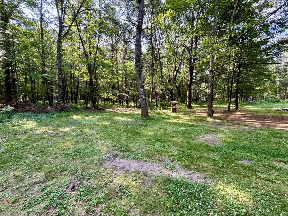 2594 S Forman Road Baldwin, MI 49304