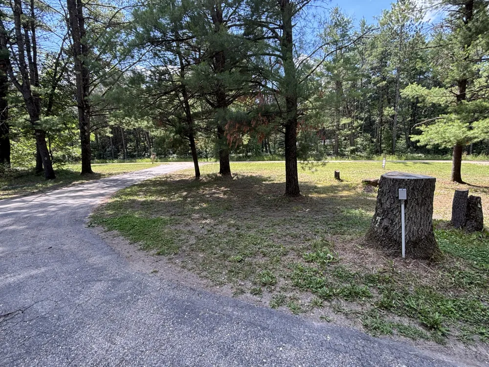 2594 S Forman Road Baldwin, MI 49304