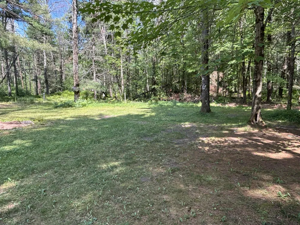 2594 S Forman Road Baldwin, MI 49304
