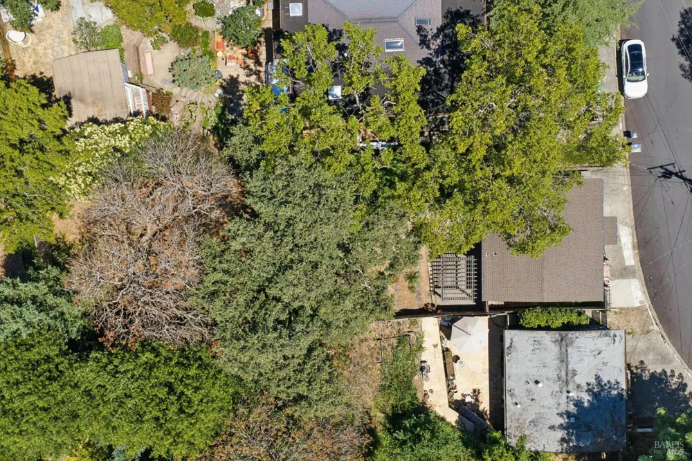 40 Elm Avenue San Anselmo, CA 94960