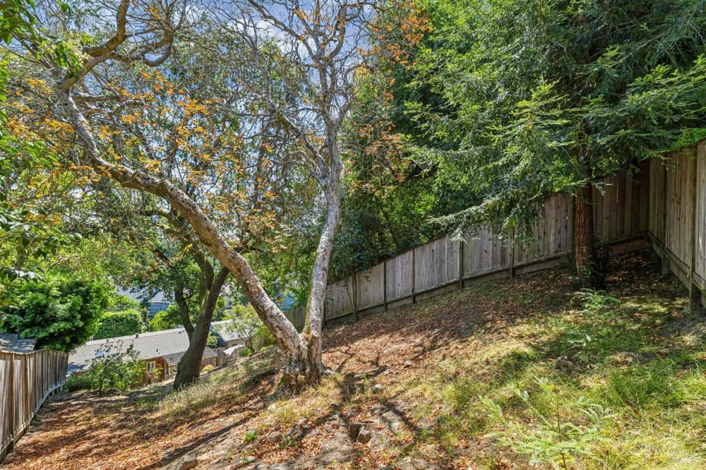 40 Elm Avenue San Anselmo, CA 94960