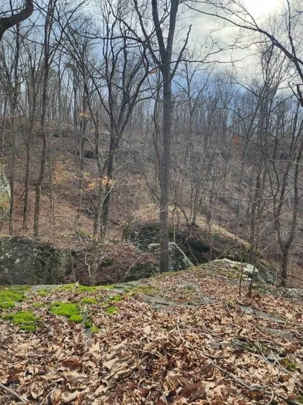 203 Crestview Ln Sparta, TN 38583