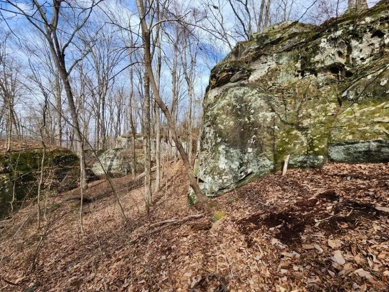 203 Crestview Ln Sparta, TN 38583