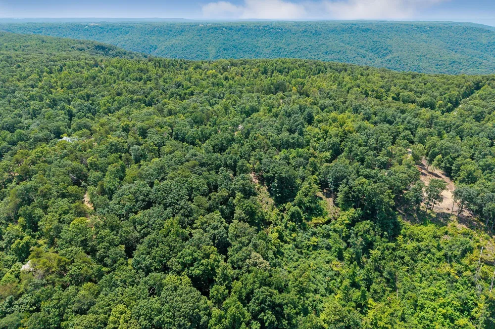 203 Crestview Ln Sparta, TN 38583