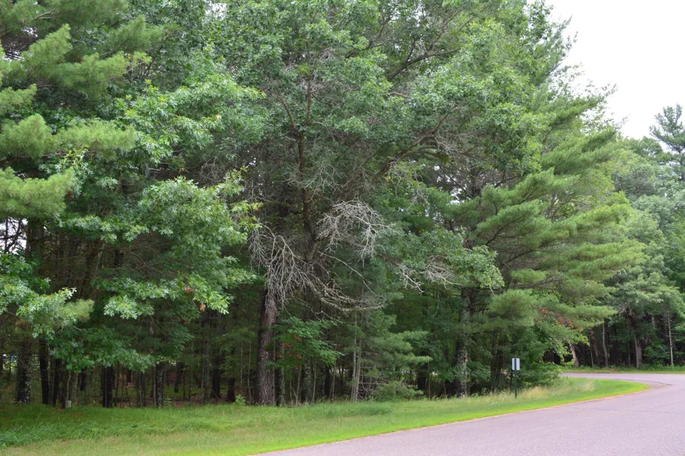 TBD Benson Road Grantsburg, WI 54840