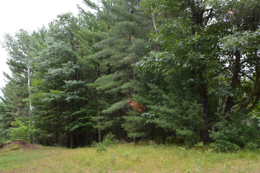 TBD Benson Road Grantsburg, WI 54840
