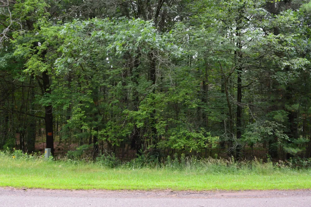 TBD Benson Road Grantsburg, WI 54840