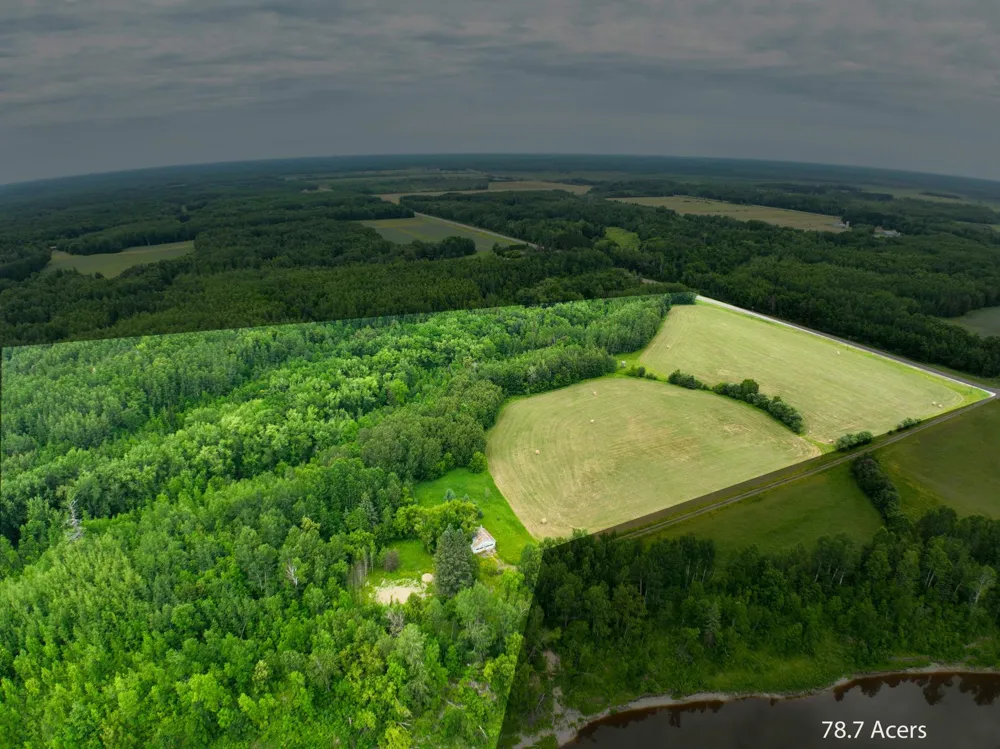 TBD COUNTY RD 79 Littlefork, MN 56653