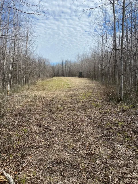 TBD COUNTY ROAD 79