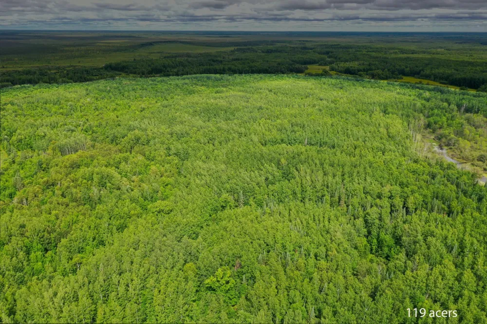 TBD COUNTY ROAD 79 Littlefork, MN 56649