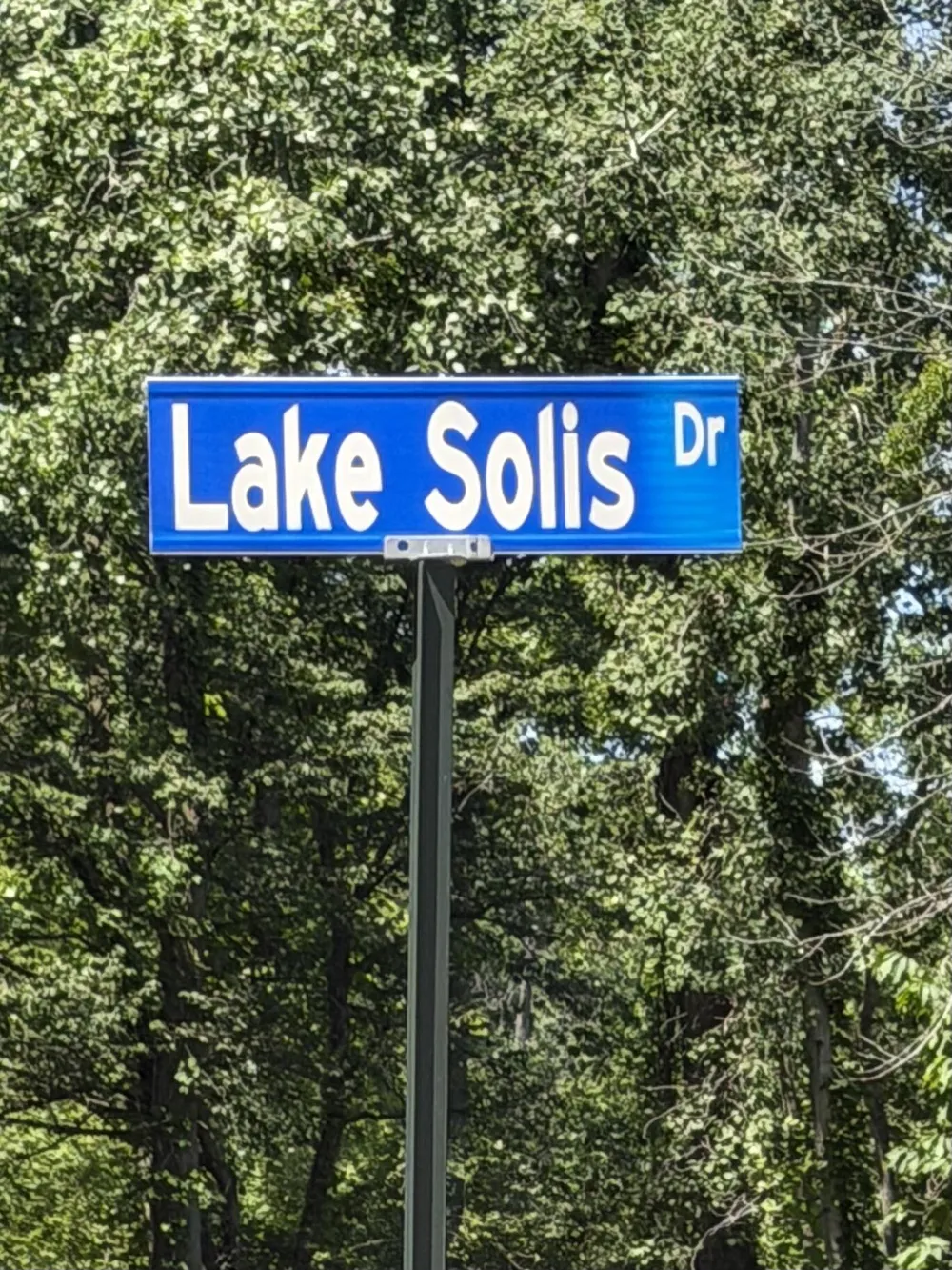 7395 Lake Solis Drive Stevensville, MI 49127