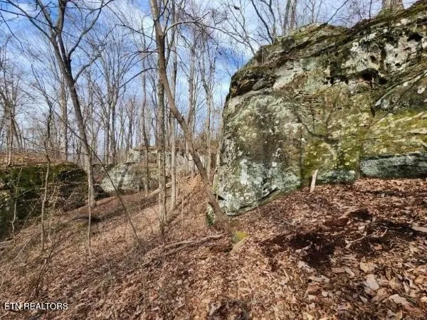 203 Crestview Lane Sparta, TN 38583
