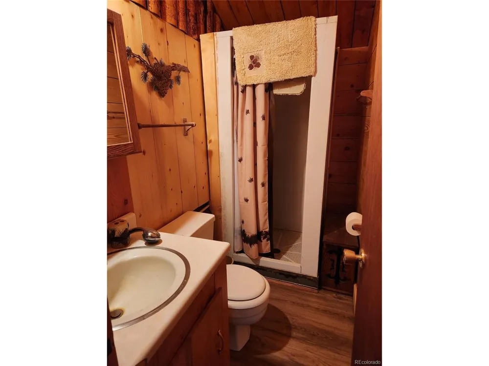 4650 4650 USFS 516 ##7Pearl lakes Creede, CO 81130