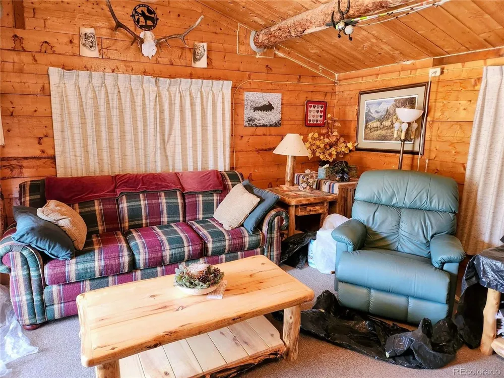 4650 4650 USFS 516 ##7Pearl lakes Creede, CO 81130