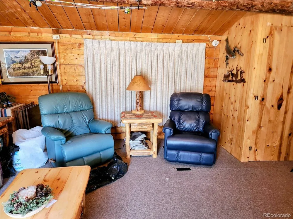4650 4650 USFS 516 ##7Pearl lakes Creede, CO 81130