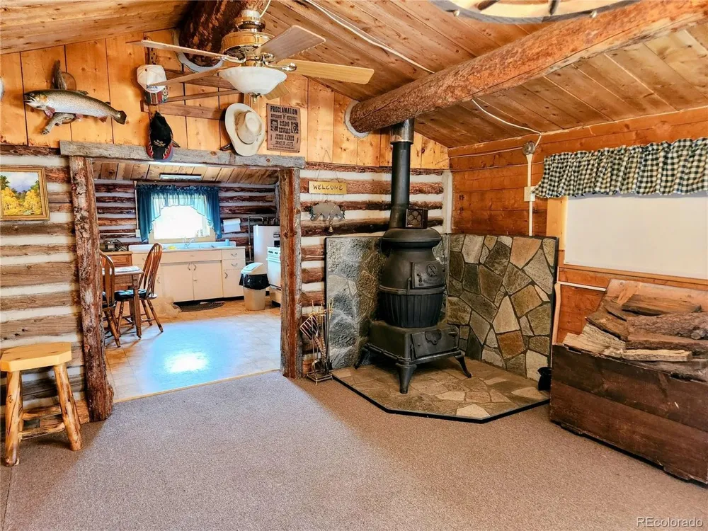 4650 4650 USFS 516 ##7Pearl lakes Creede, CO 81130