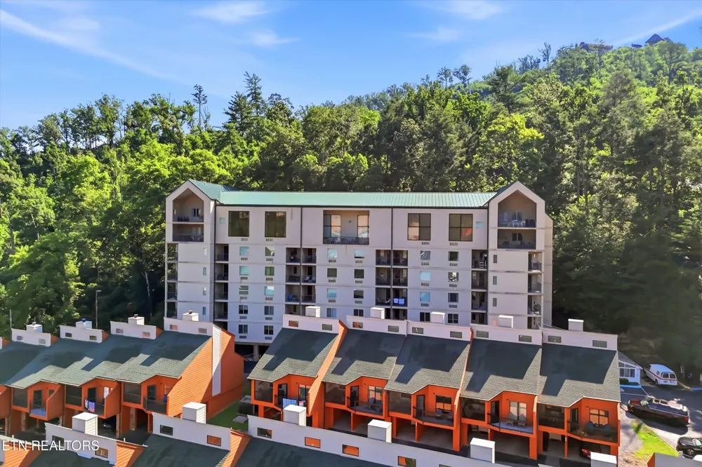 413 Baskins Creek Rd #303 Gatlinburg, TN 37738