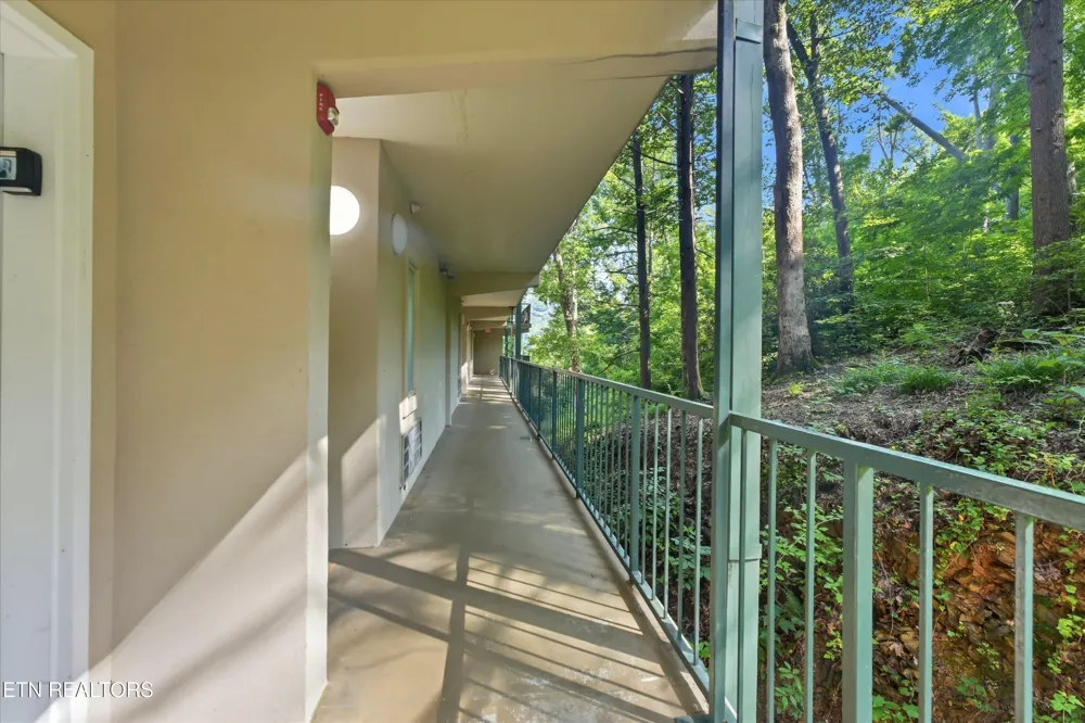 413 Baskins Creek Rd #303 Gatlinburg, TN 37738