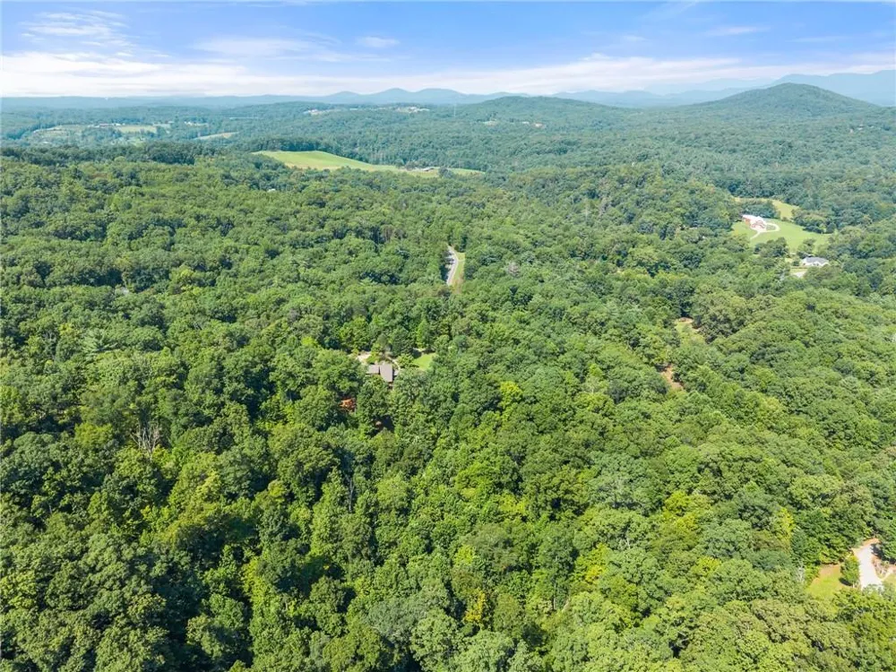 1401 Adair Mill Road Cleveland, GA 30528