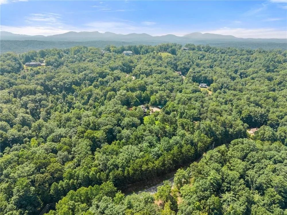 1401 Adair Mill Road Cleveland, GA 30528