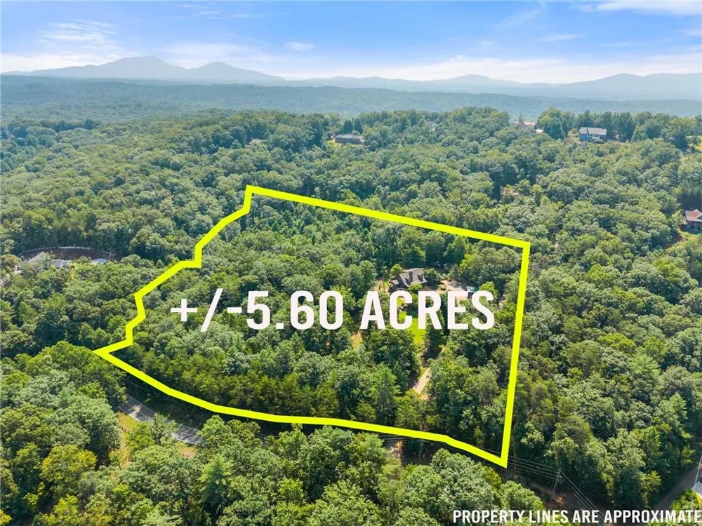 1401 Adair Mill Road Cleveland, GA 30528