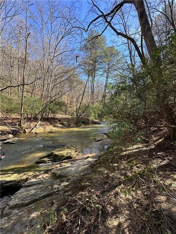 0 Coffee Mill Run Talking Rock, GA 30175
