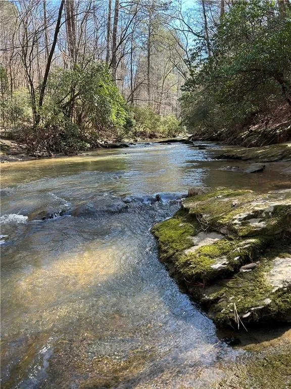 0 Coffee Mill Run Talking Rock, GA 30175